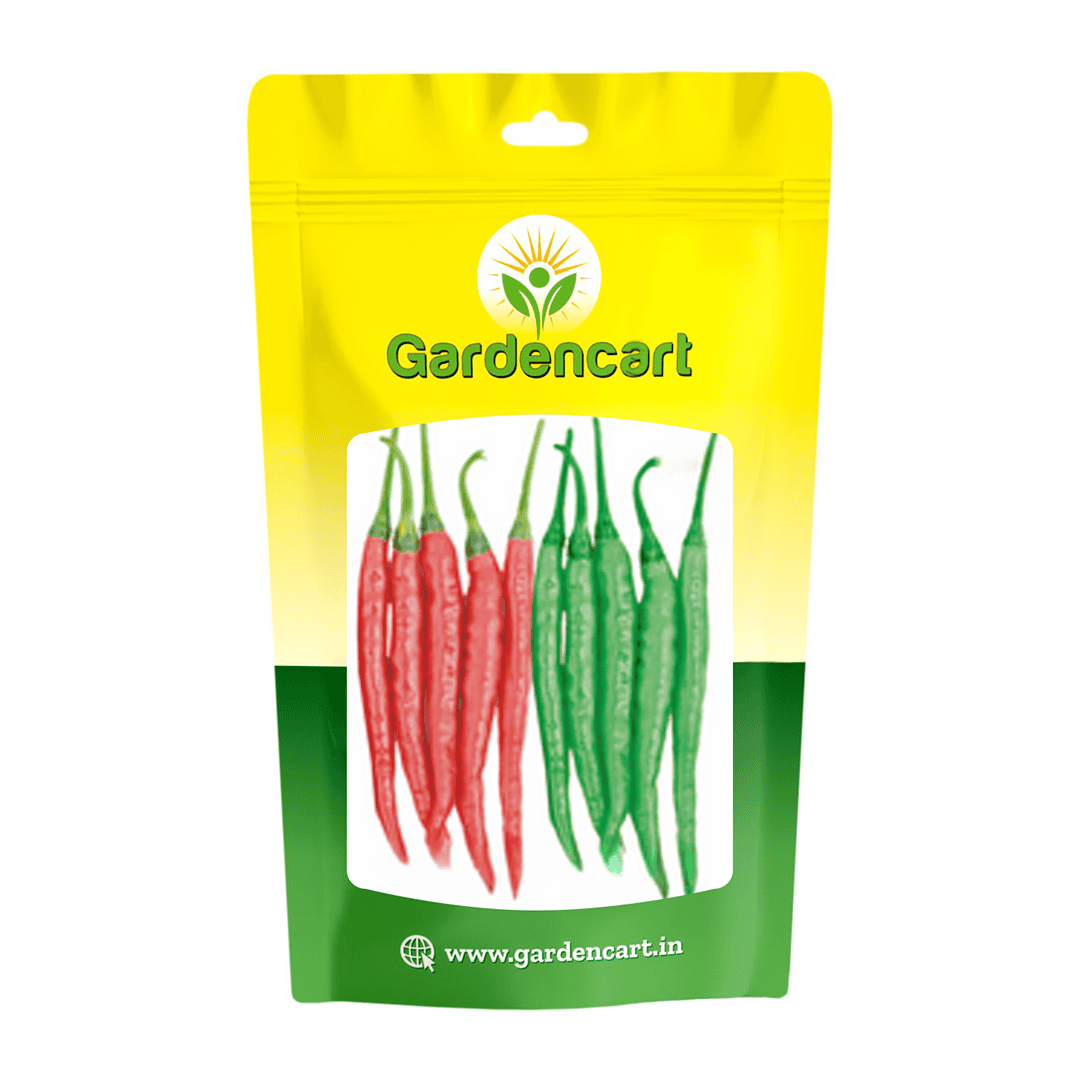 Hybrid Chilly Fire-77 Seeds