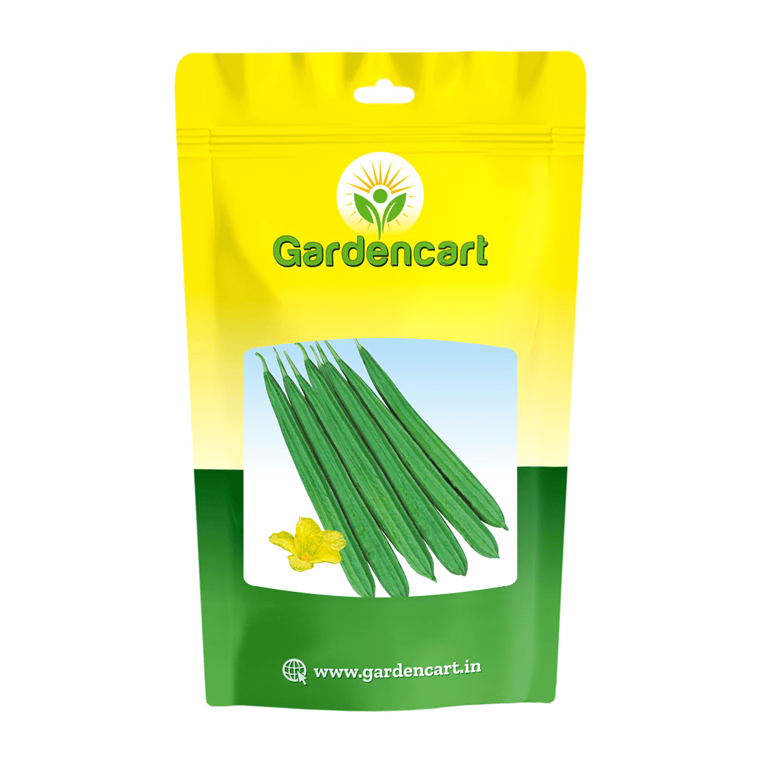 Hybrid Ridgegourd Lata Seeds