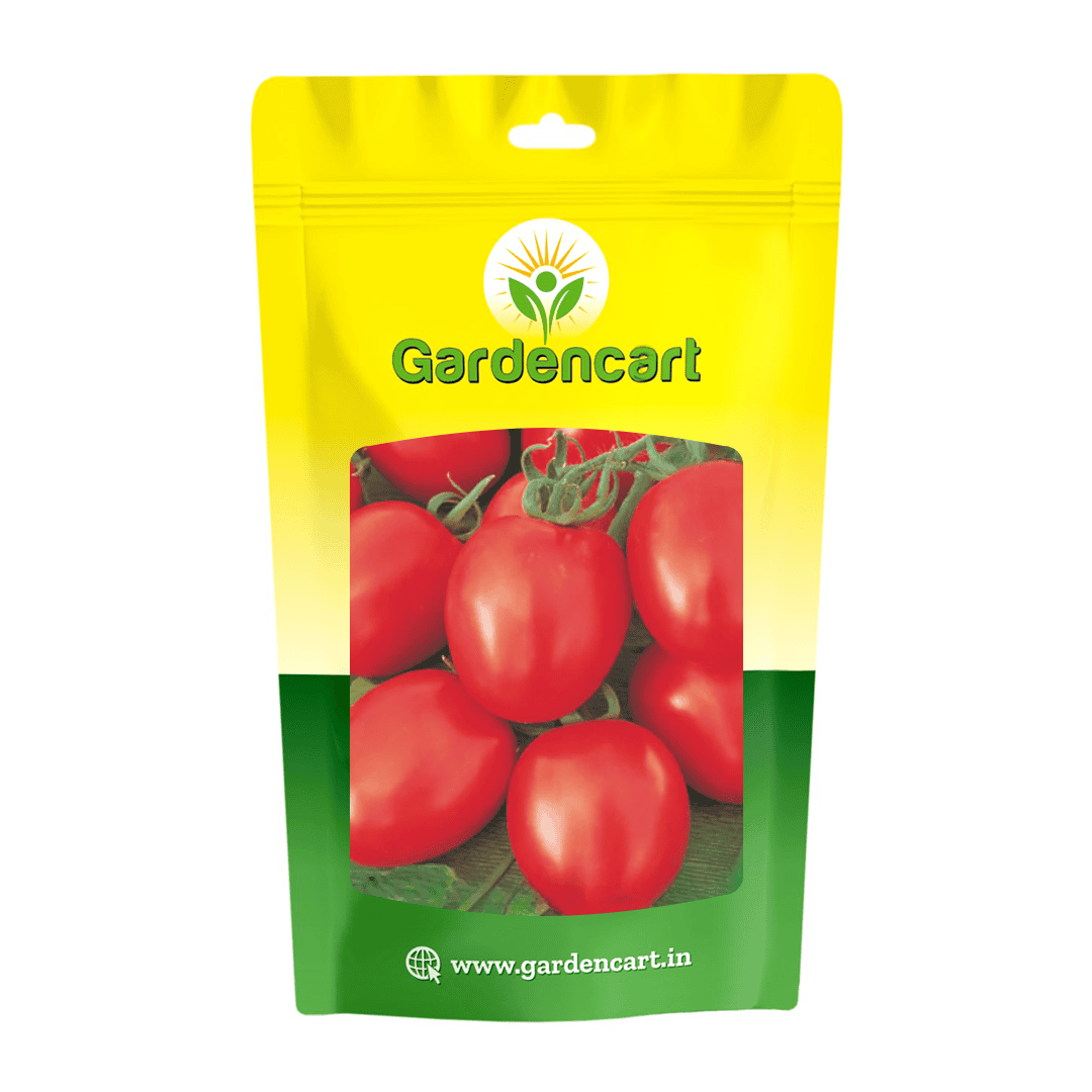 Hybrid Tomato Arjun-2021 Seeds