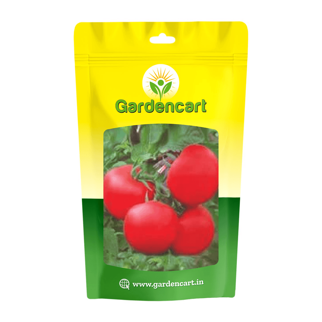 Hybrid Tomato Johnny-35 Seeds