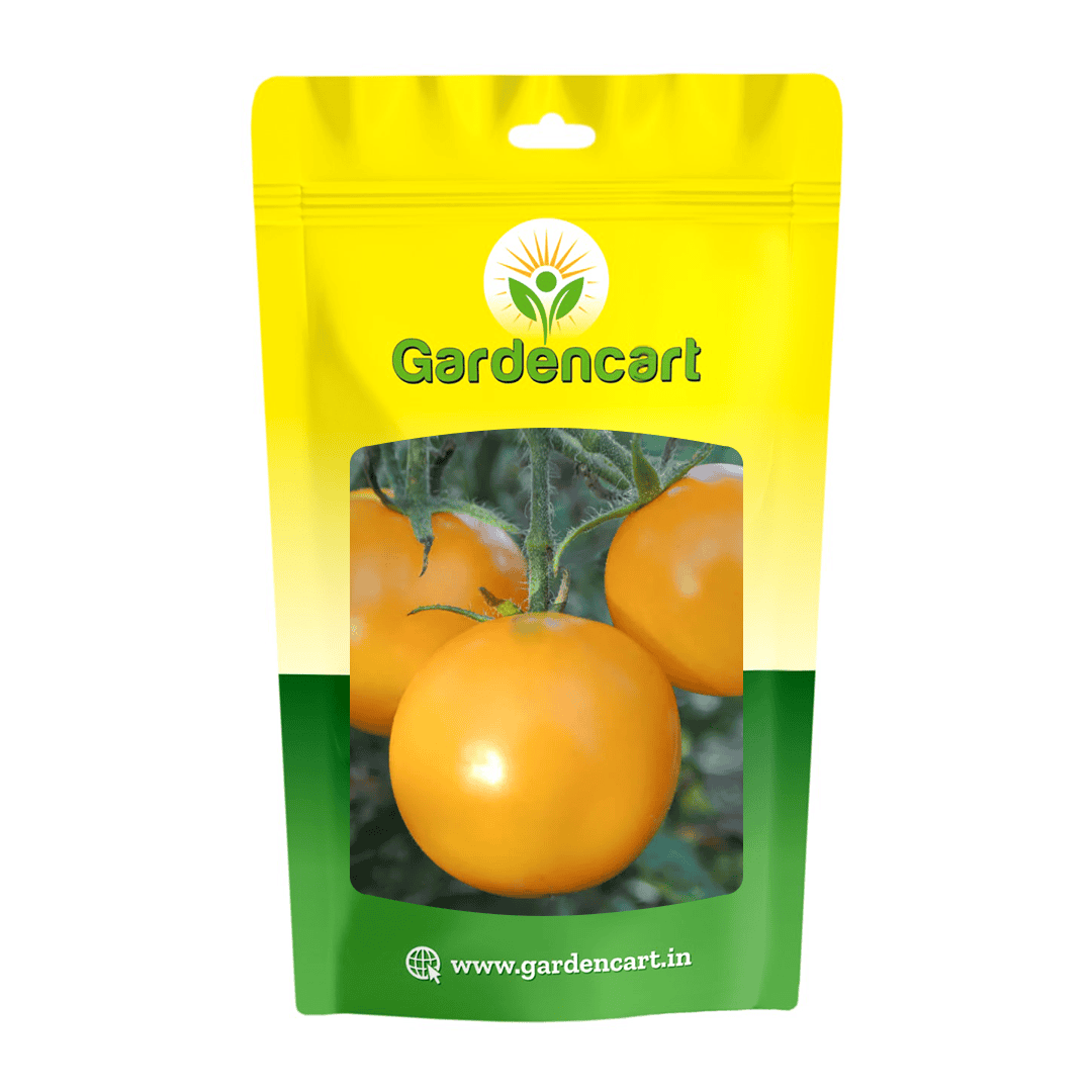 Hybrid Tomato Yellow Jubilee Seeds