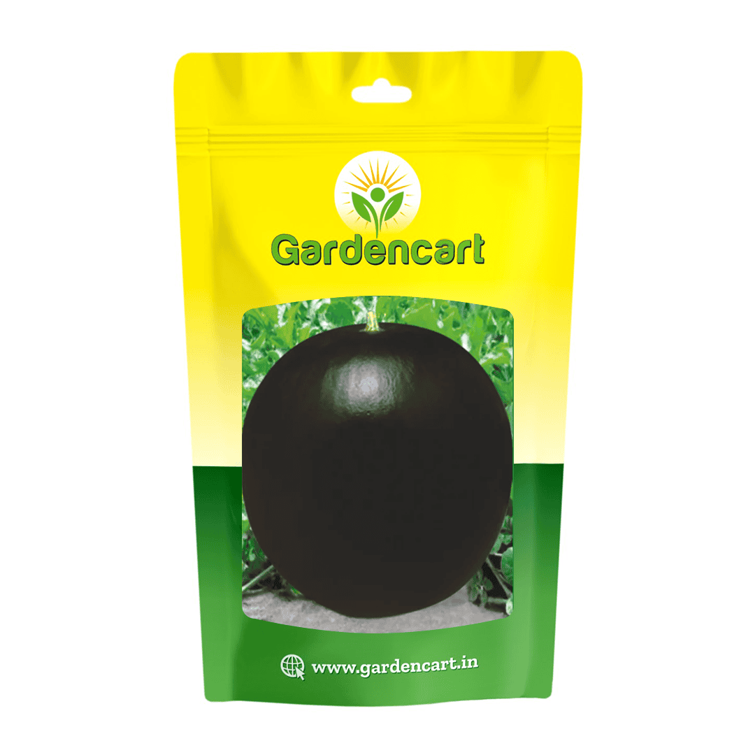 Hybrid Watermelon Black Star Seeds