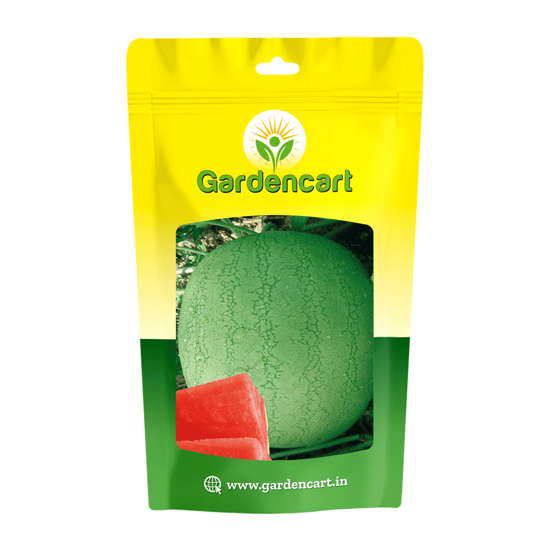 Hybrid Watermelon Charleston Gray Laxmi Seeds