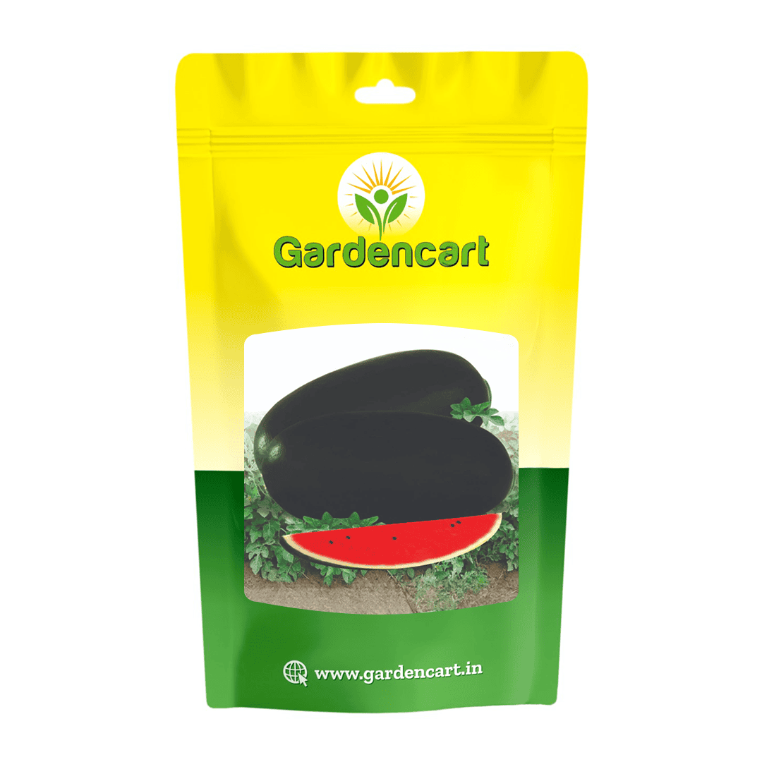 Hybrid Watermelon Icebox Seeds