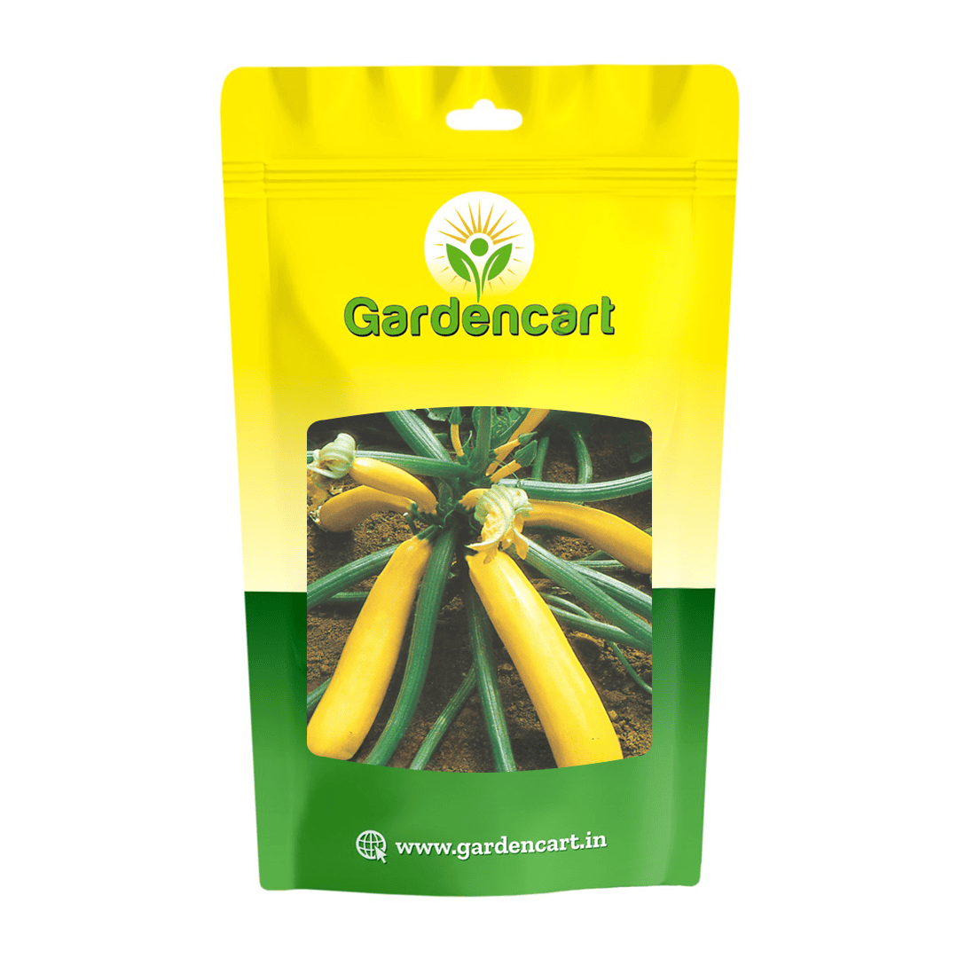 Hybrid Zucchini Goldmine Seeds