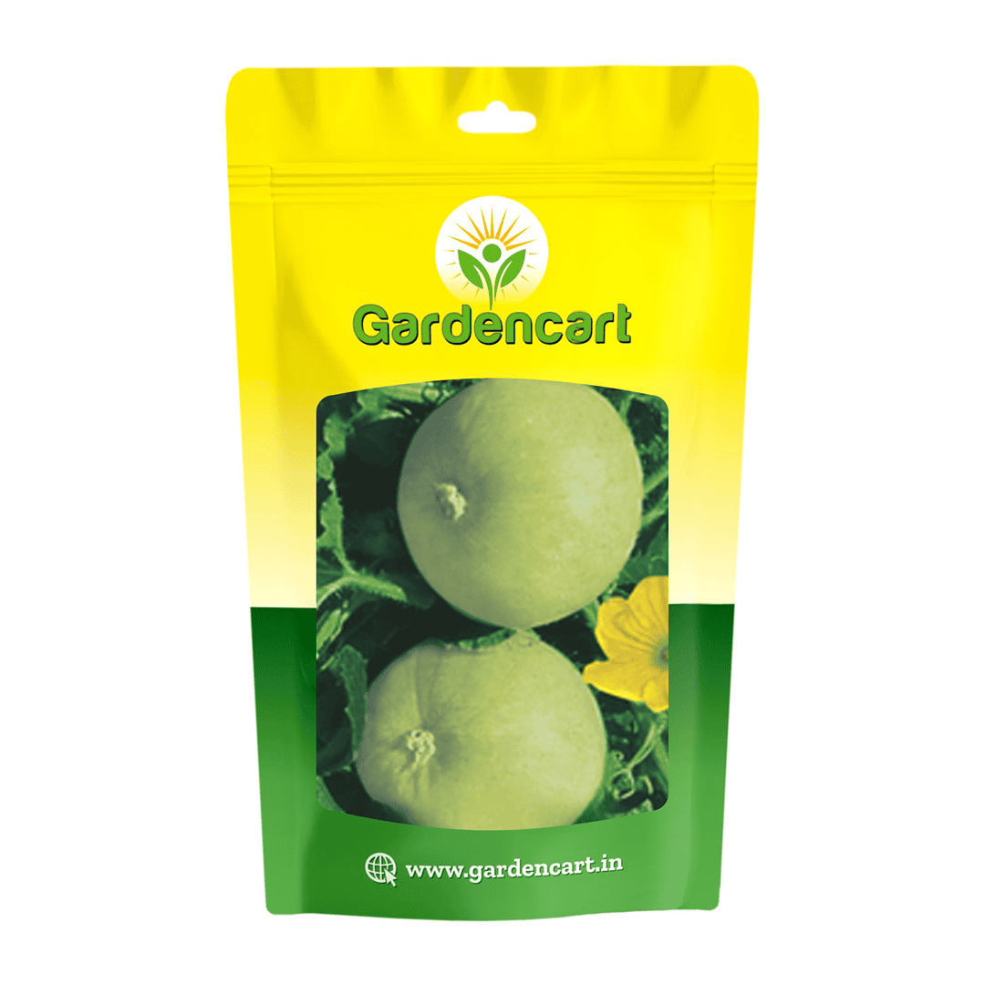 Indian Squash Tinda Seeds