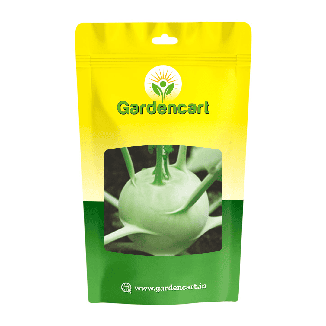 Knolkhol Early White Vienna Seeds