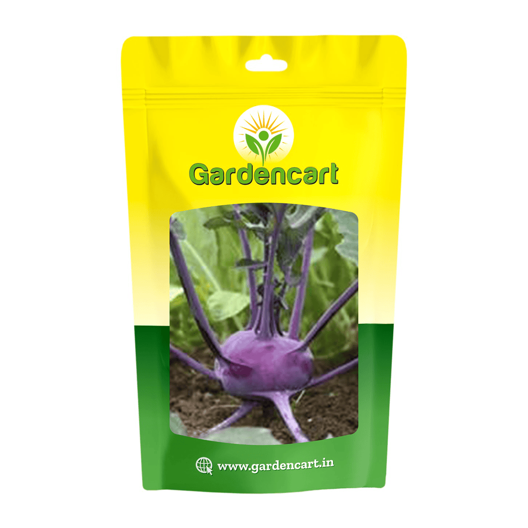 Knolkhol Purple Seeds