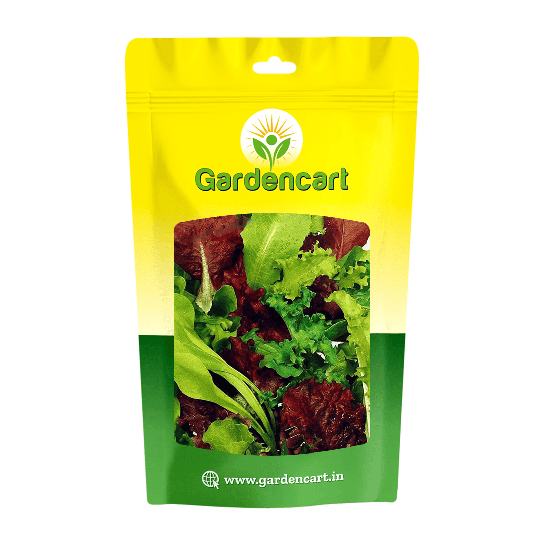 Lettuce Misticanza Seeds