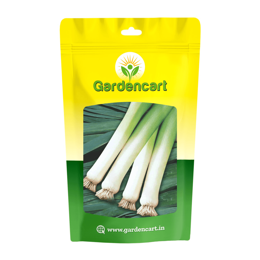 Leek American Flag Seeds