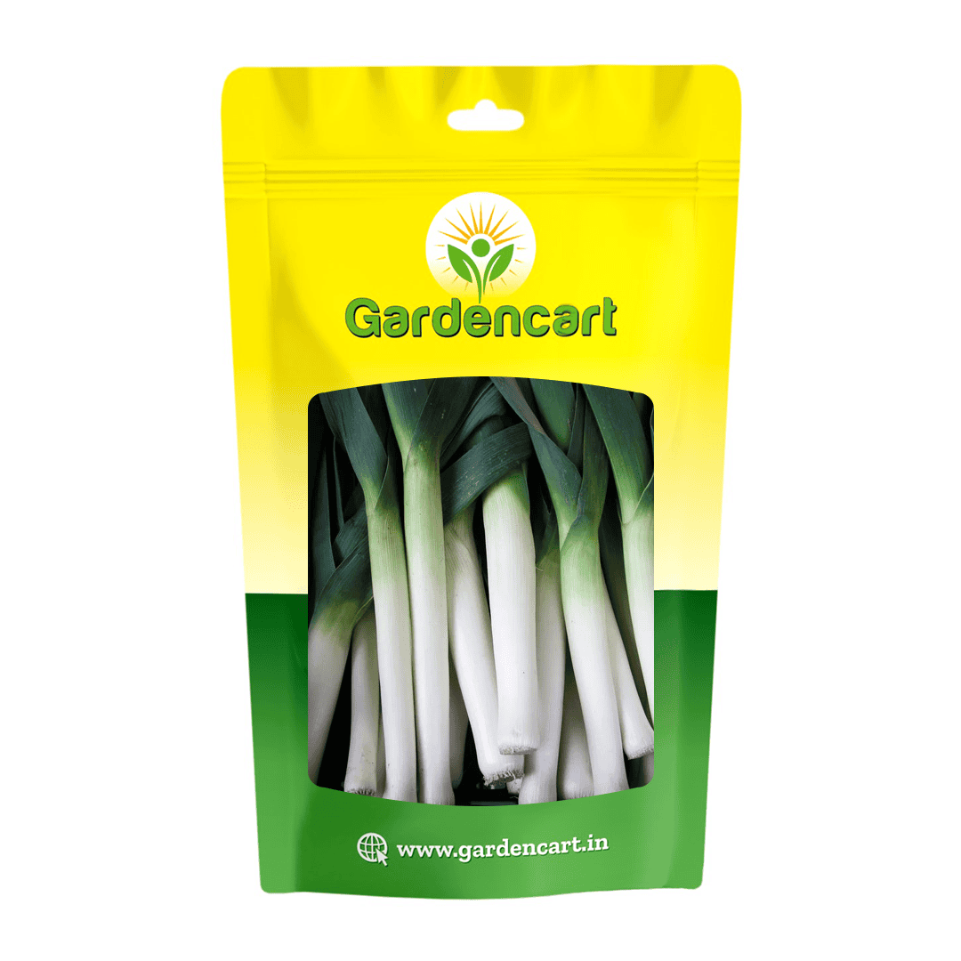 Leek Long Giant Seeds