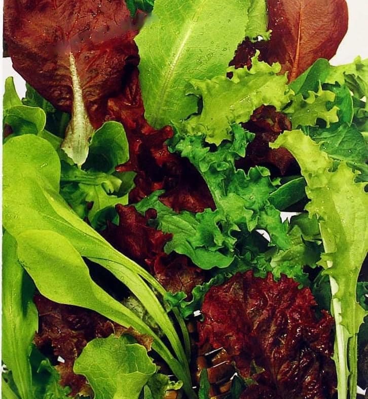 Lettuce Misticanza Seeds