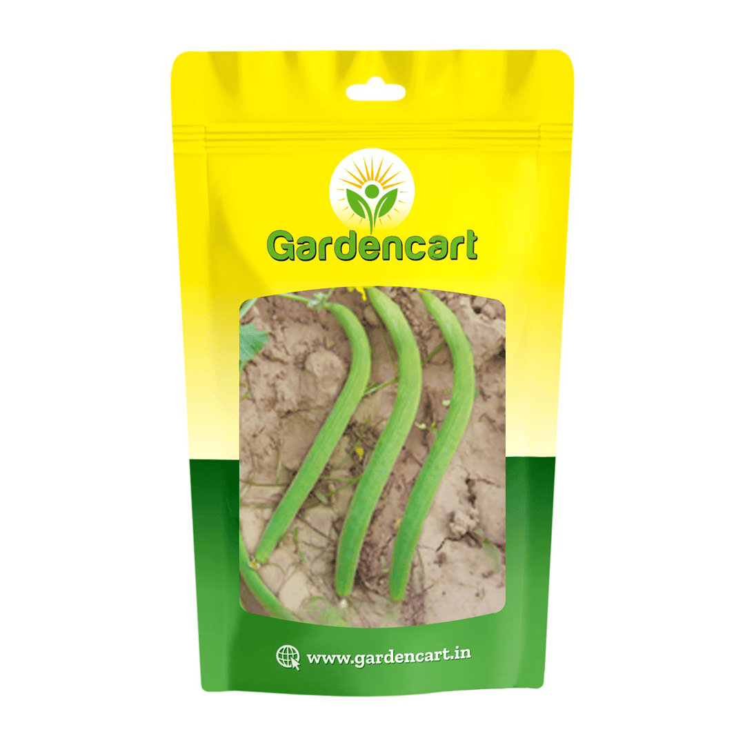 Longmelon/Kakri Lehar Seeds