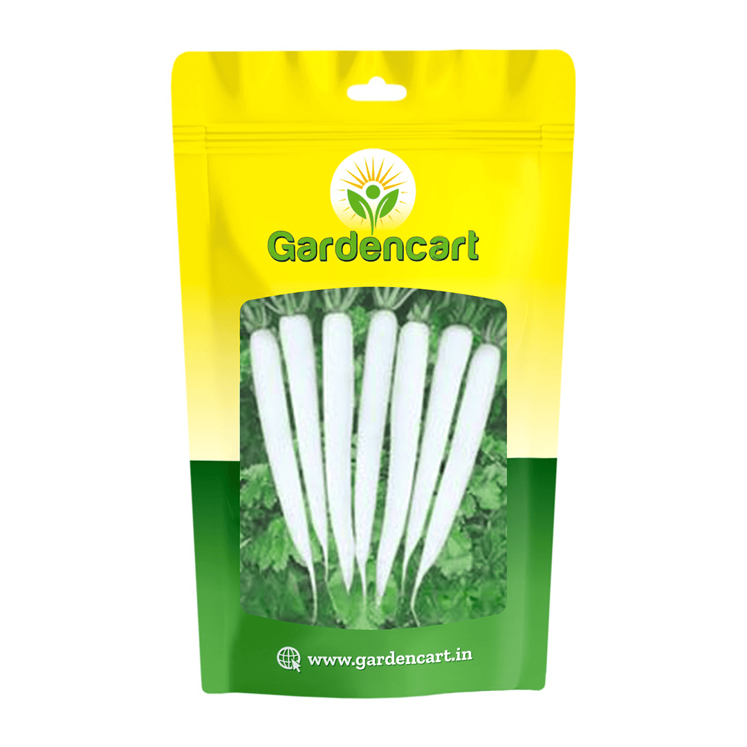 Hybrid Radish Suzuki-555 Seeds