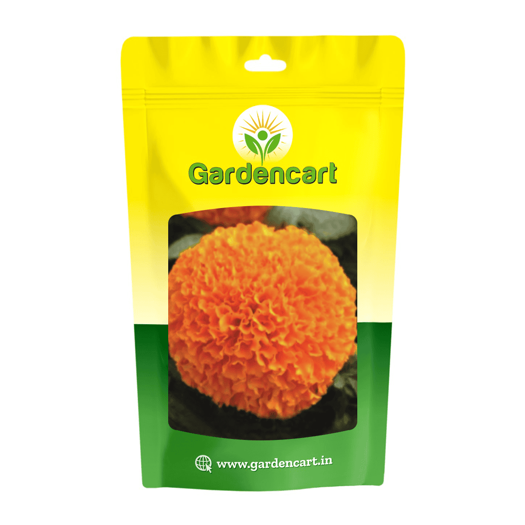 Marigold Orange Fusion Seeds