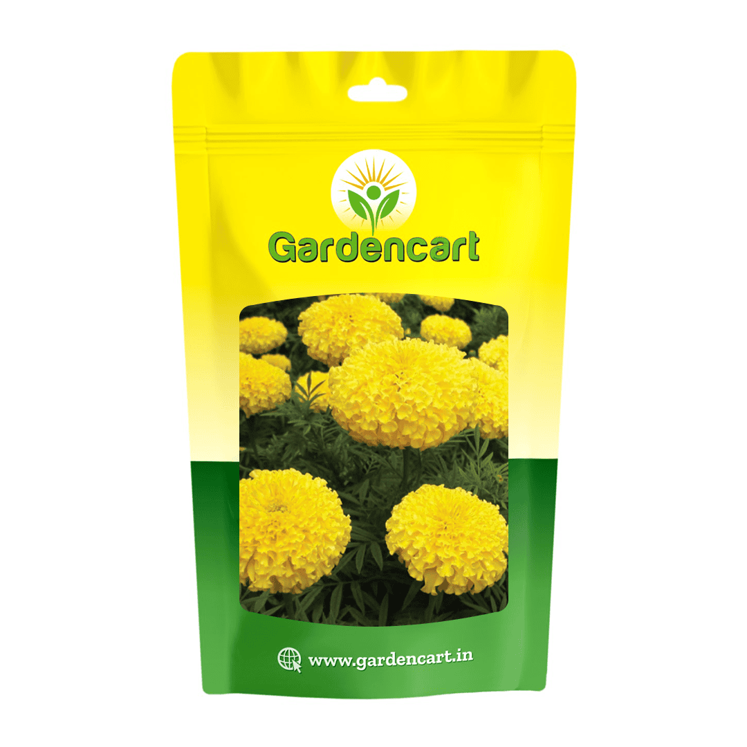 Marigold Yellow Sunrise Seeds