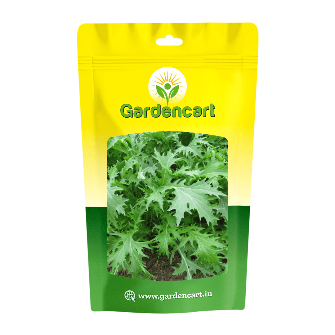 Mizuna Green Seeds