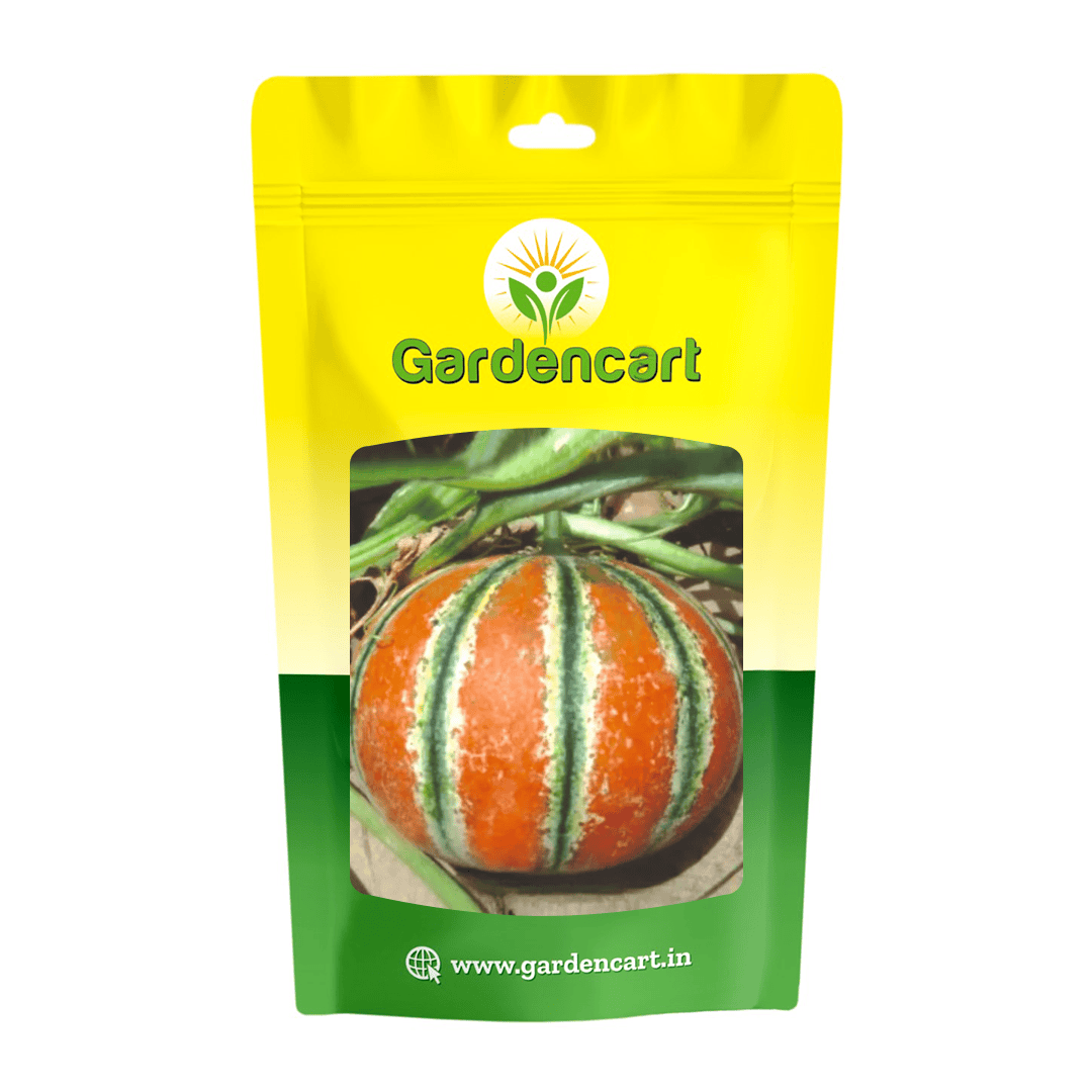 Muskmelon Kajri Seeds