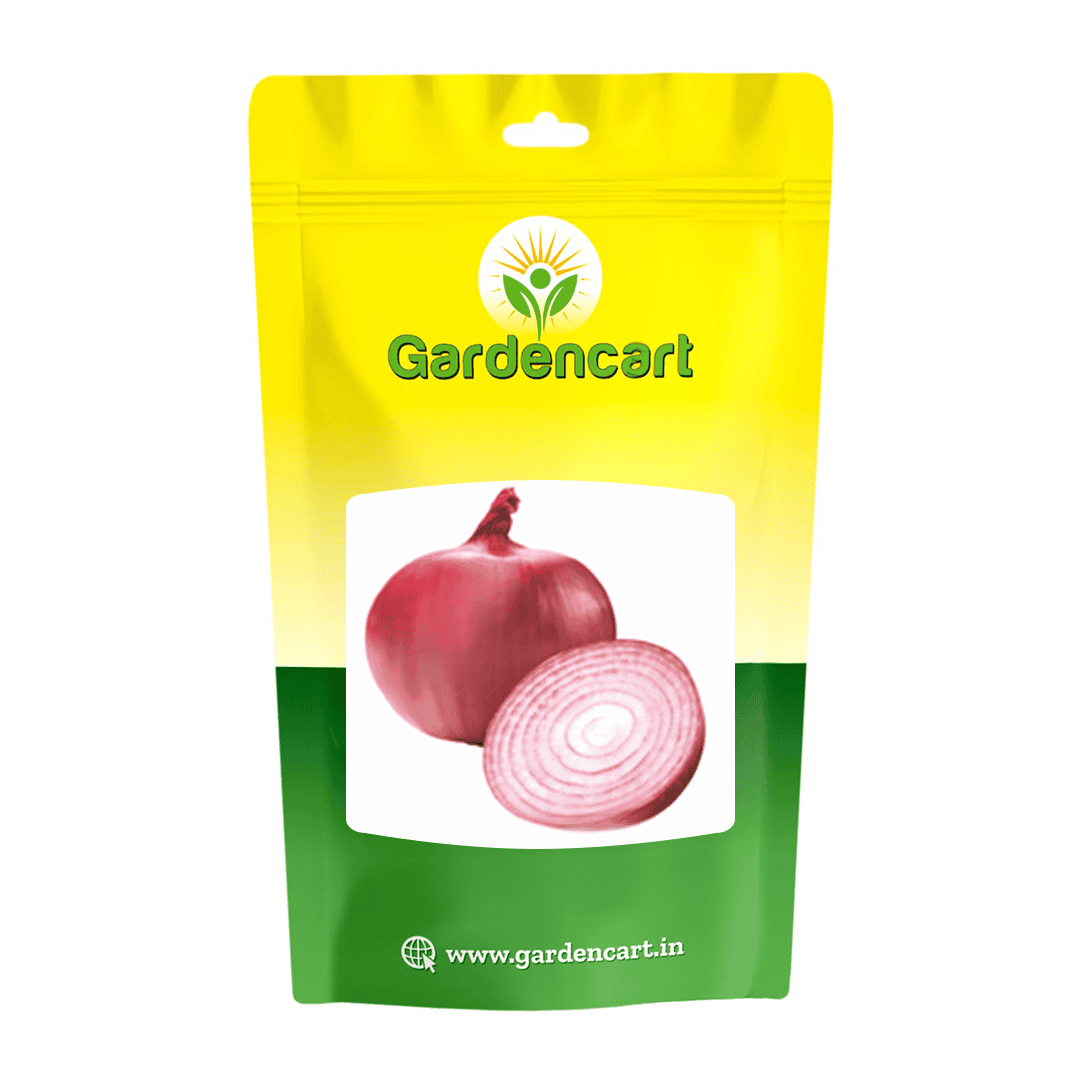 Onion Nasik Red N-53 Seeds