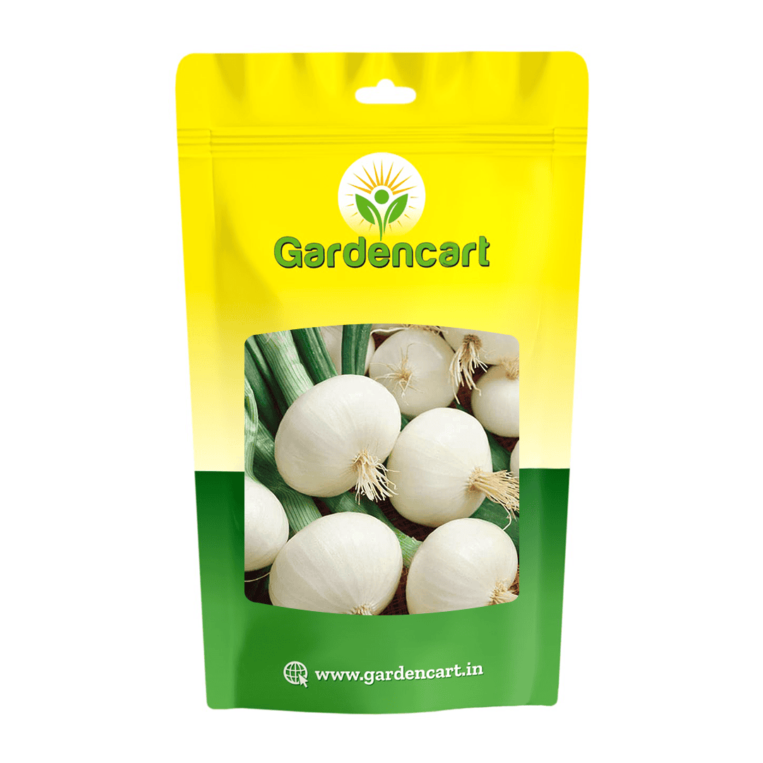 Onion White Globe Seeds