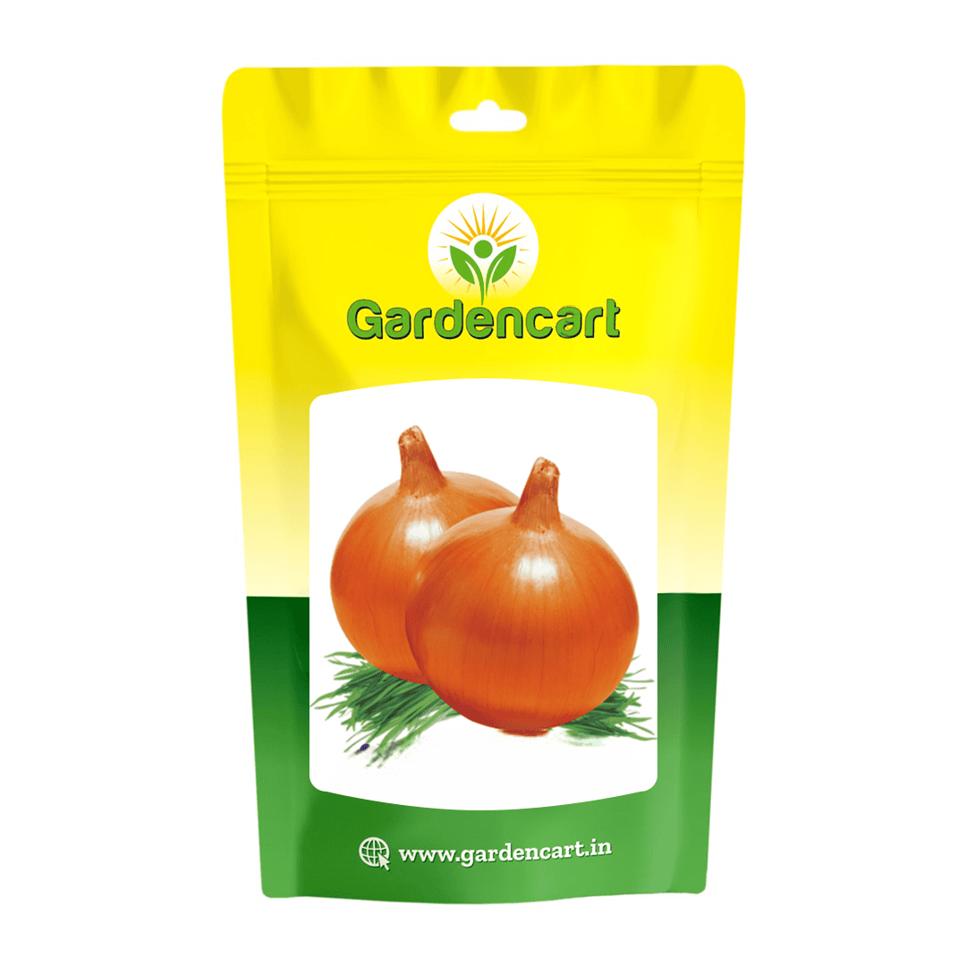 Onion Yellow Globe Seeds