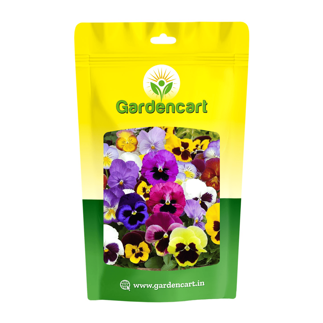 Pansy Velvet Mix Seeds