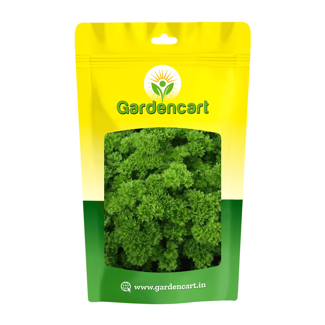 Parsley Double Moss Curled Seeds