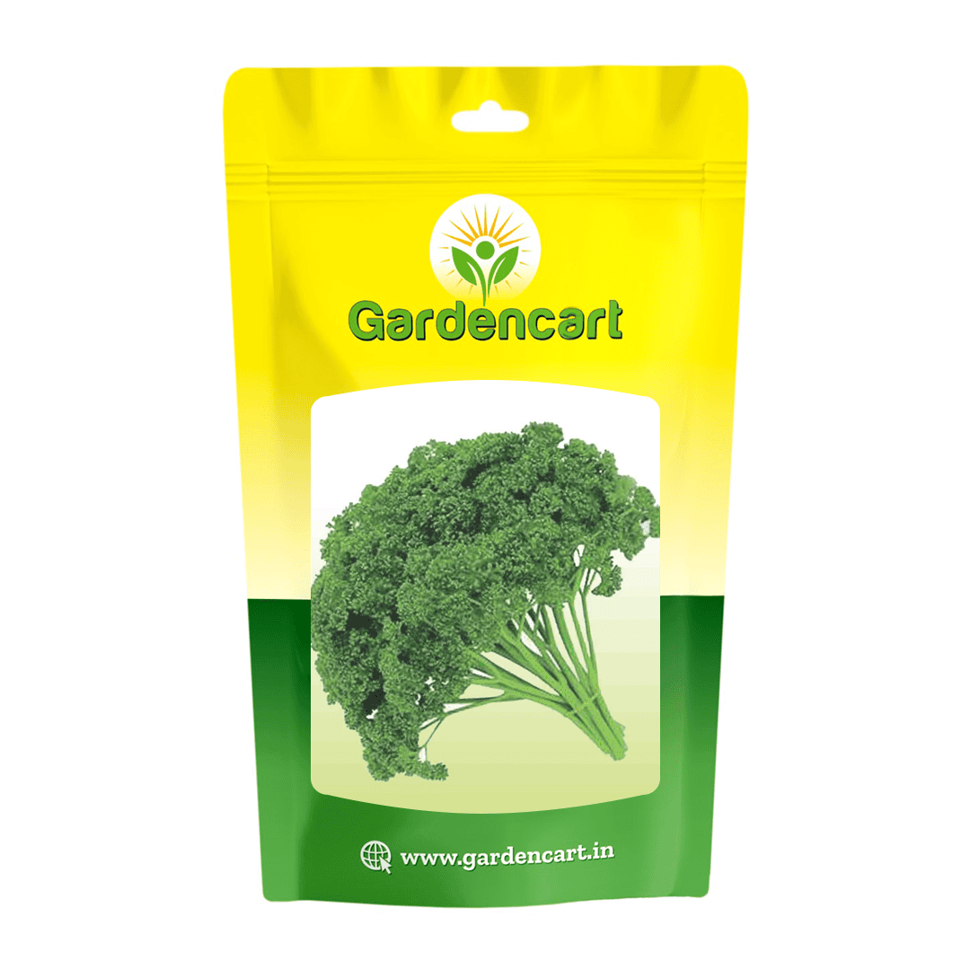 Parsley Forest Green Triple Curled Seeds