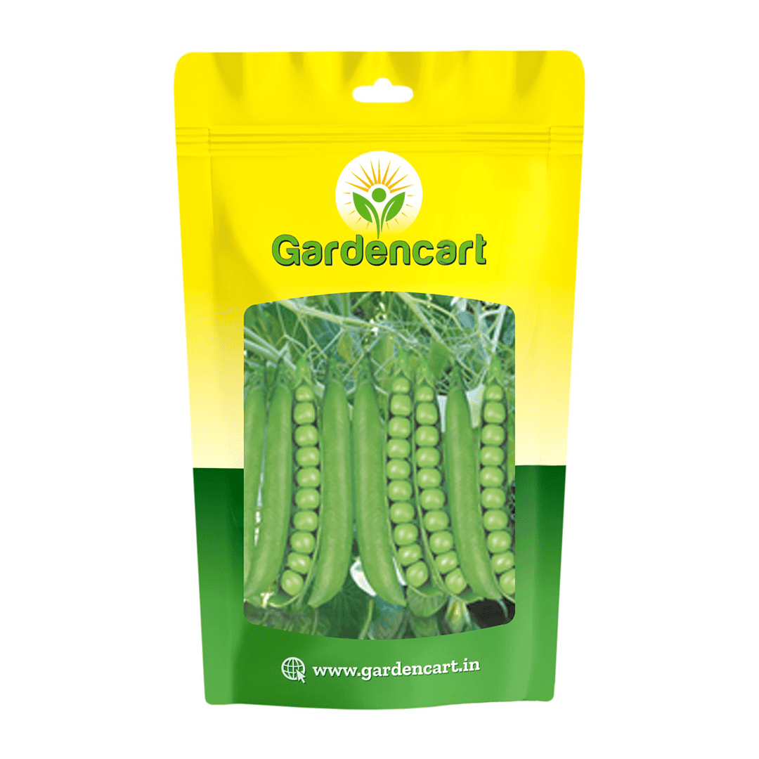 Peas Magic-100 Seeds