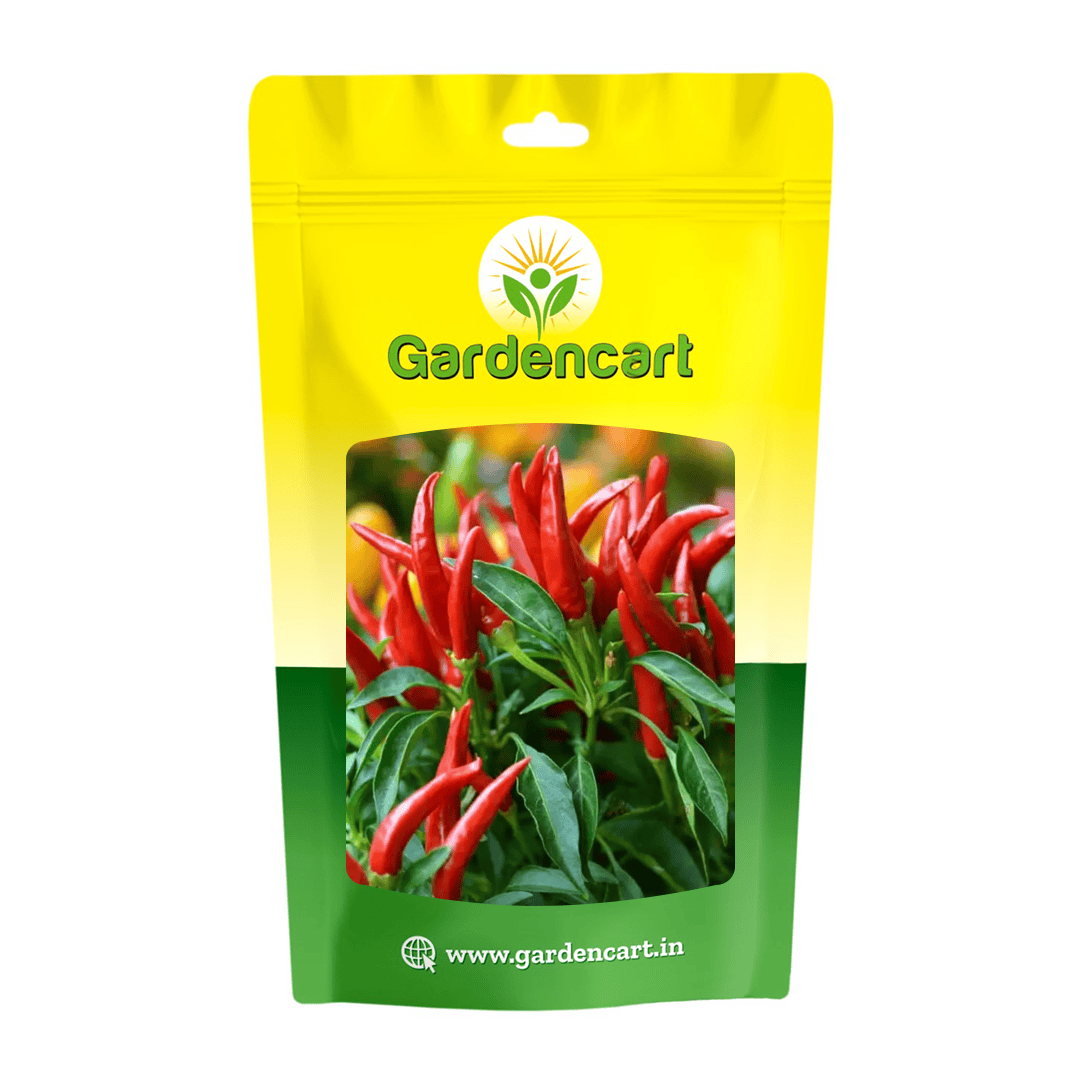 Pepper Bird Eye Chilly seeds