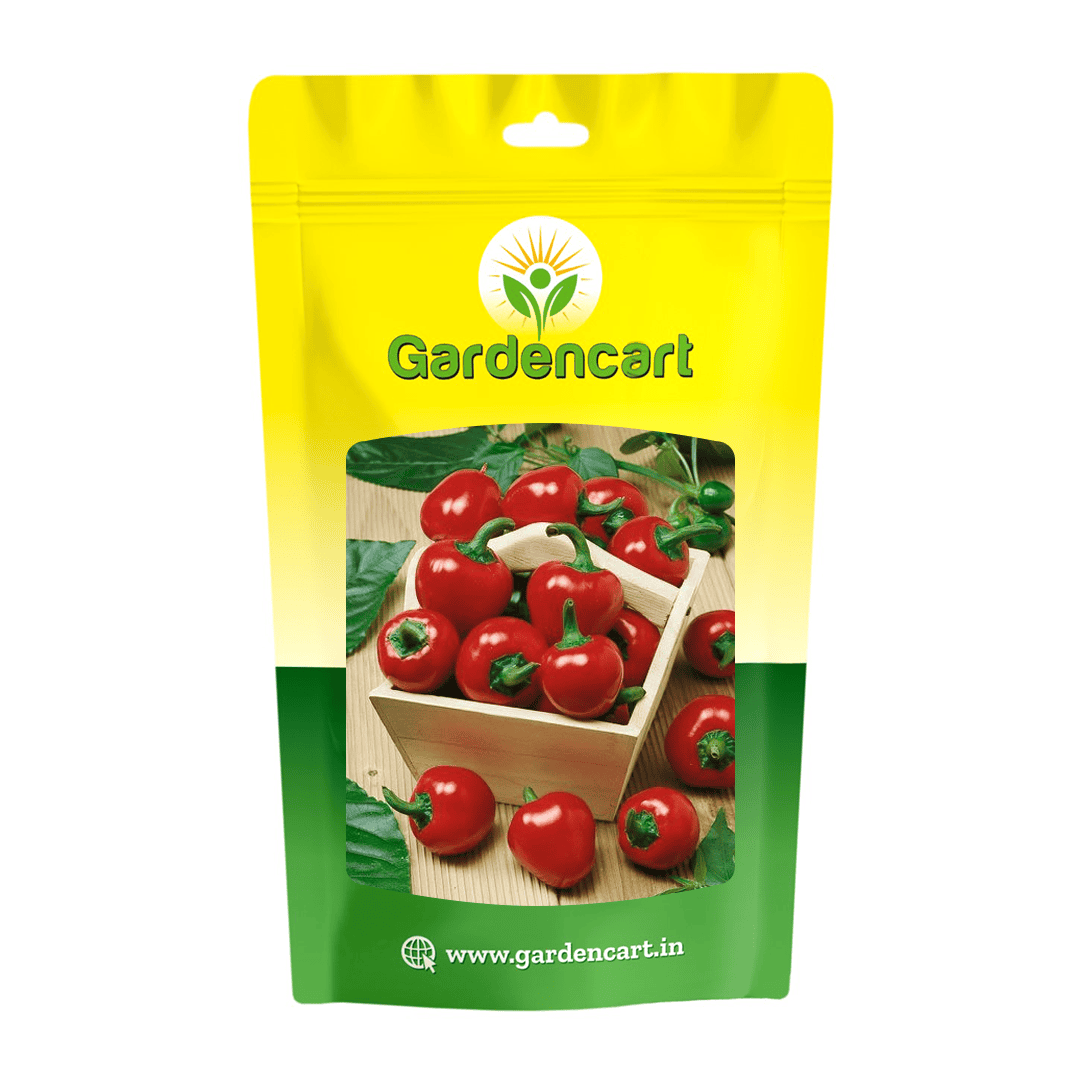 Pepper Red Cherry Seeds