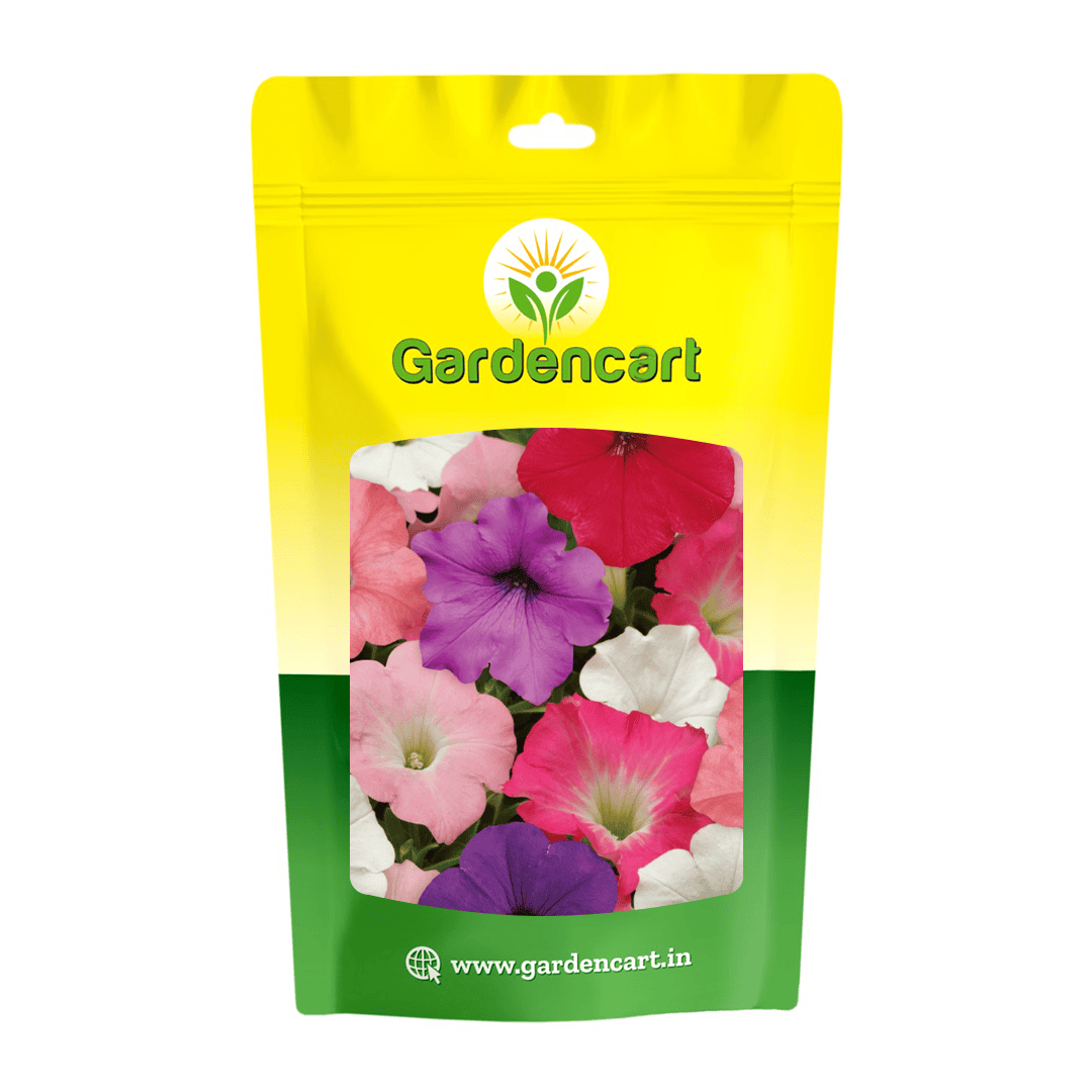 Petunia Dwarf Mix Seeds