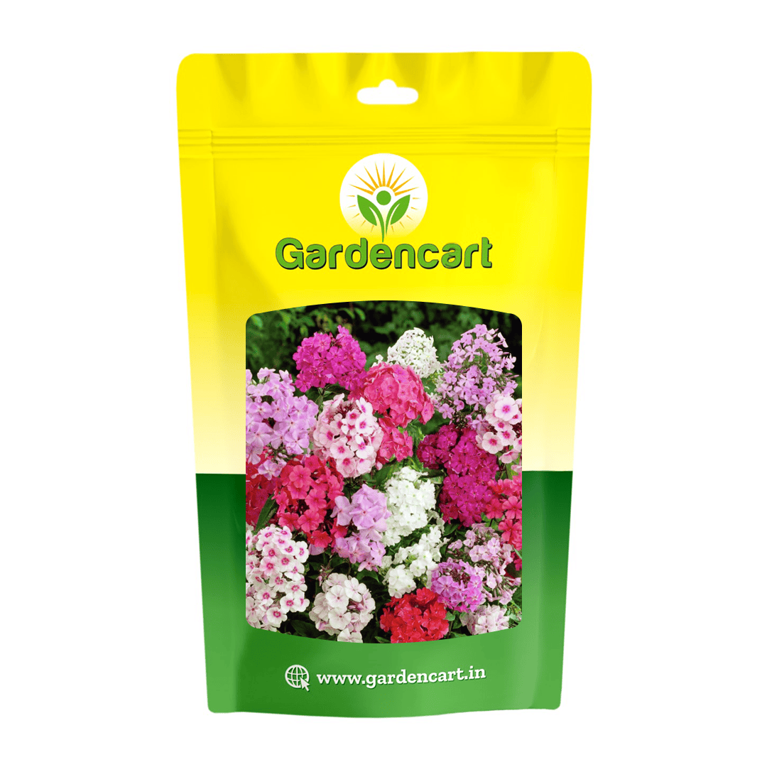 Phlox Beauty Mix Seeds