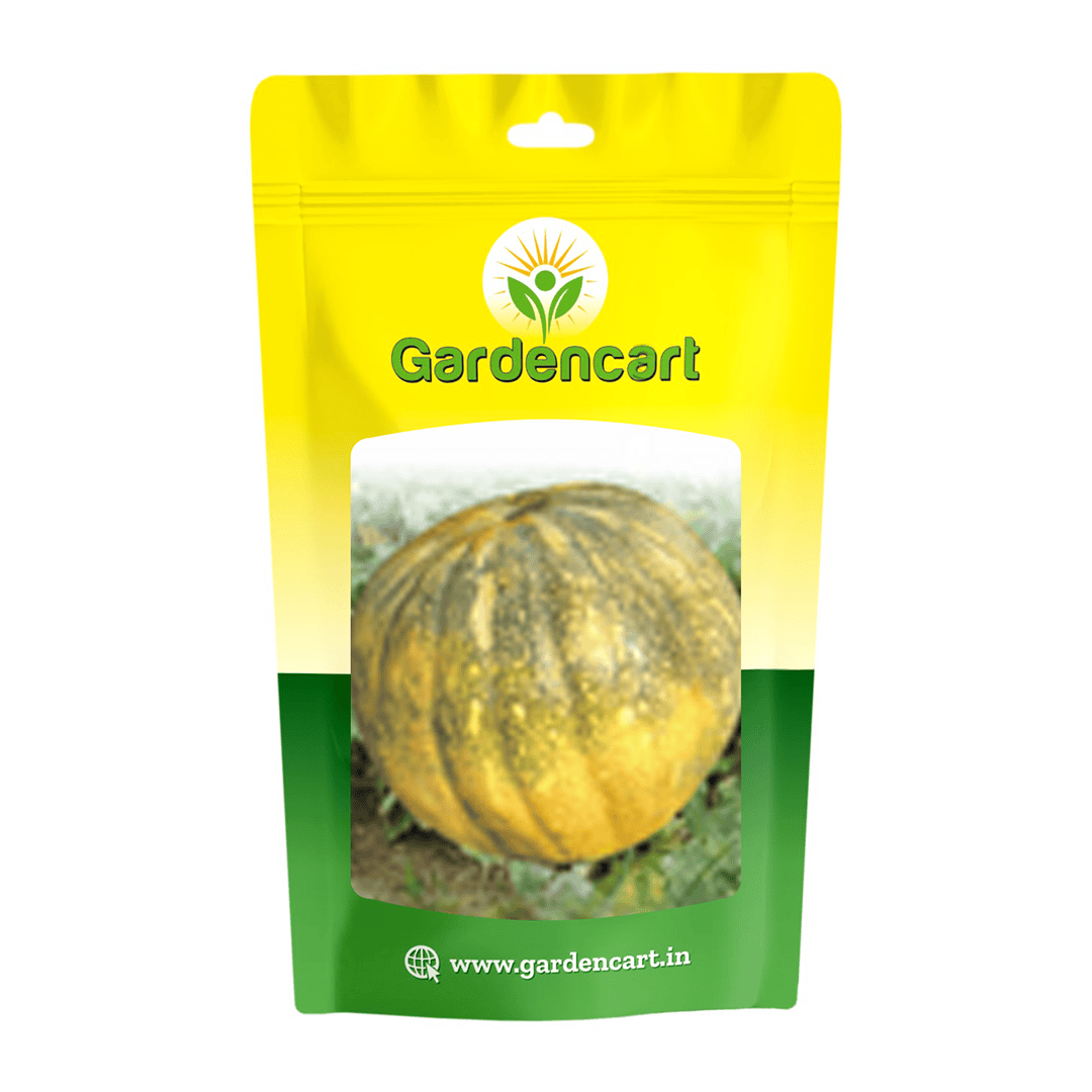 Hybrid Pumpkin King Seeds