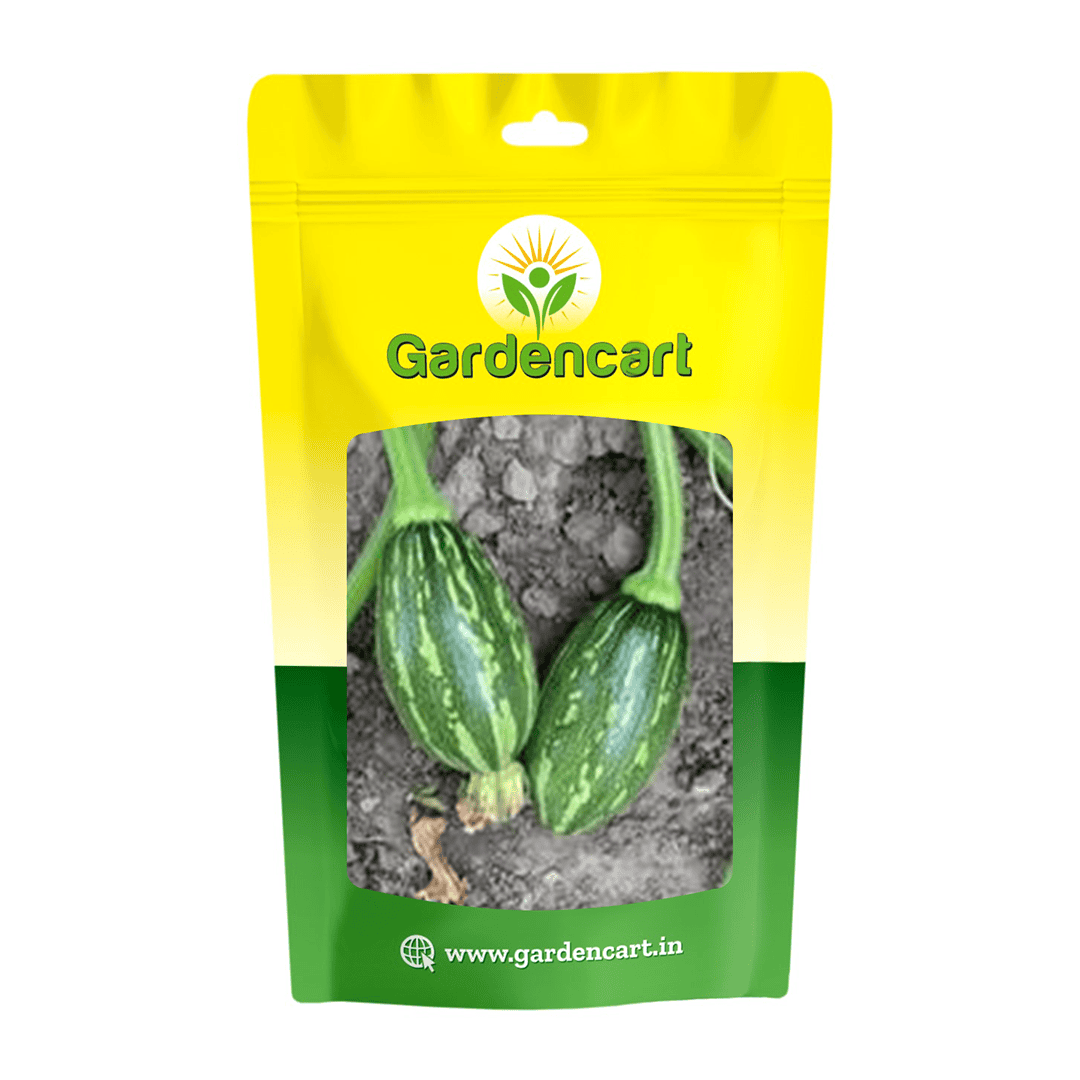 Hybrid Pumpkin Nano Seeds