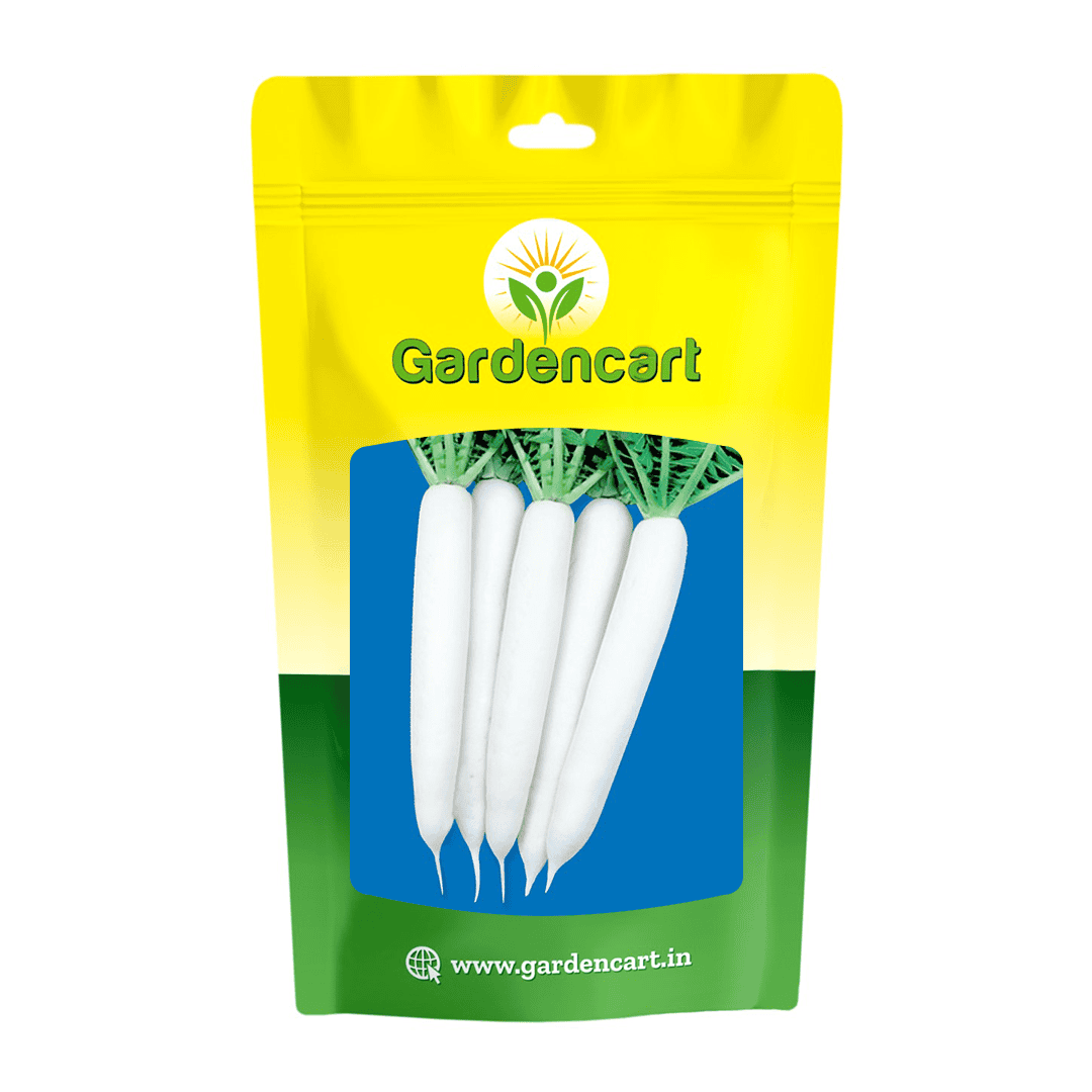 Radish All Season Seeds