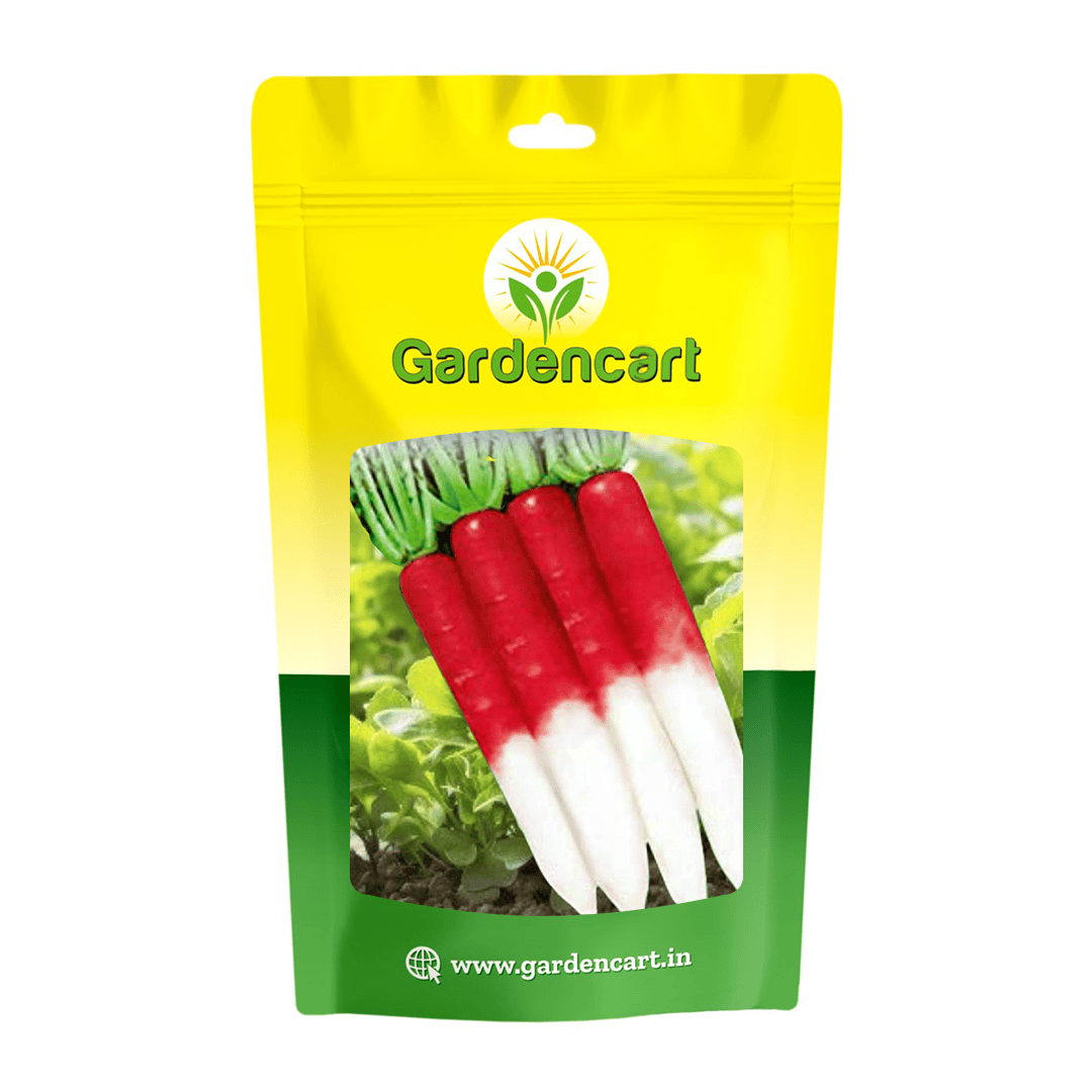 Radish Half Red Seeds