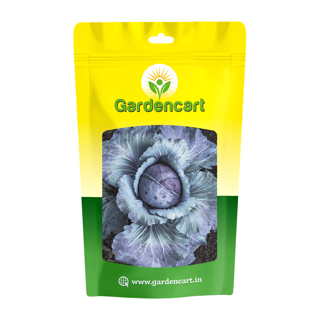 Cabbage Red Acre Seeds