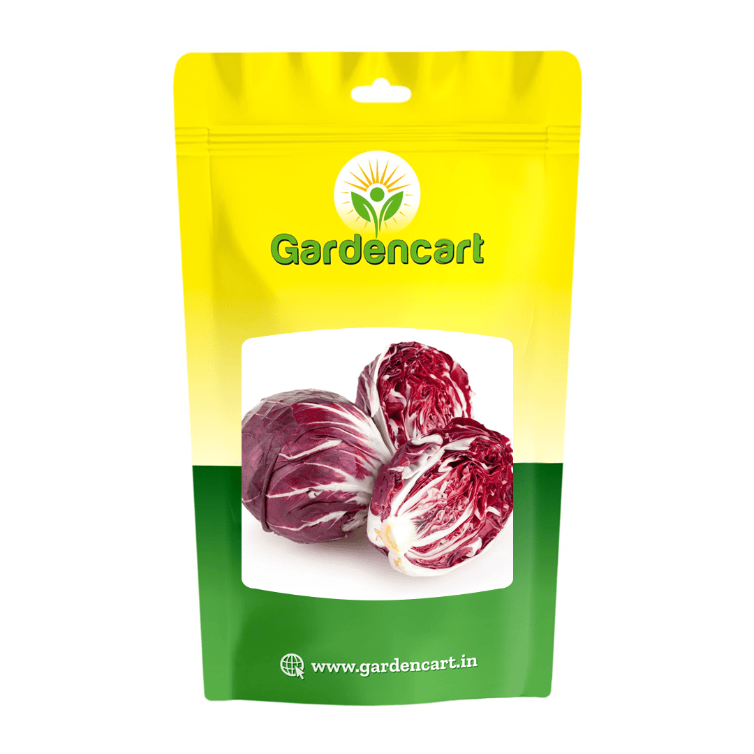 Raddichio Red Ball Seeds