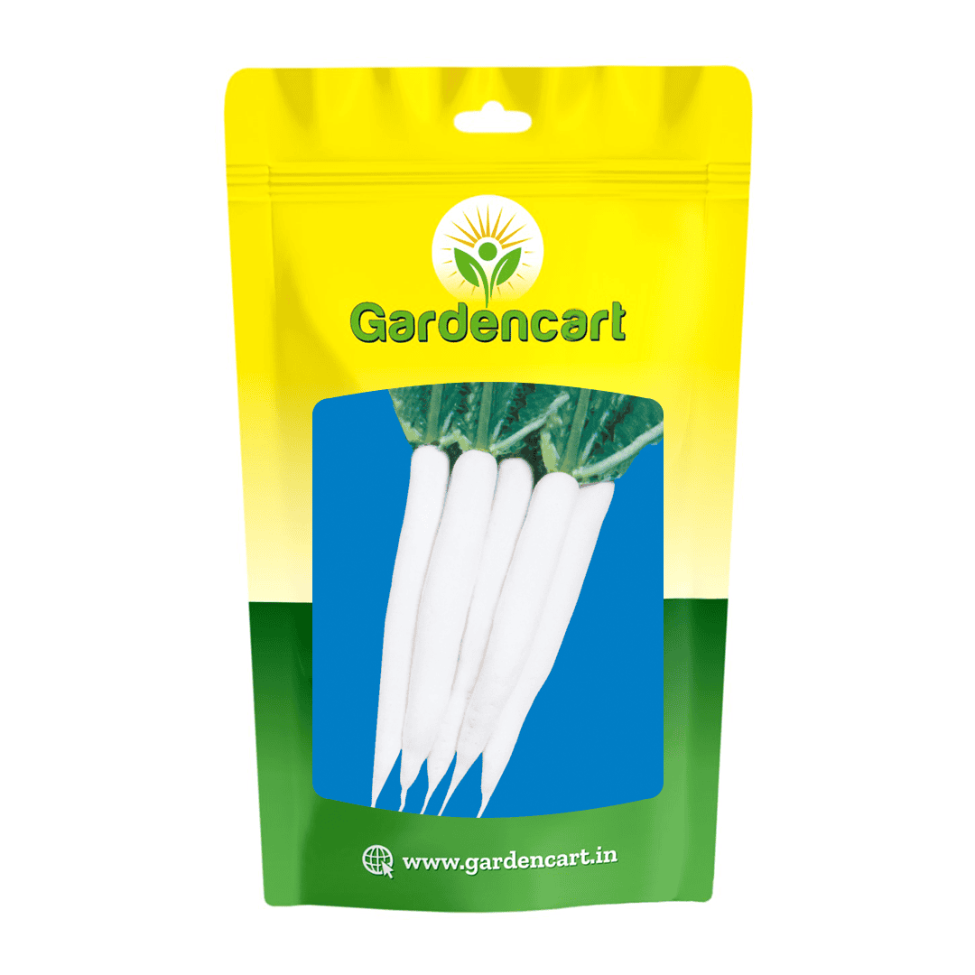 Radish 40 Days Seeds