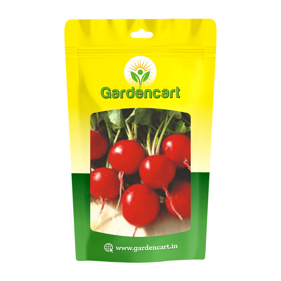 Radish Cherry Belle Seeds