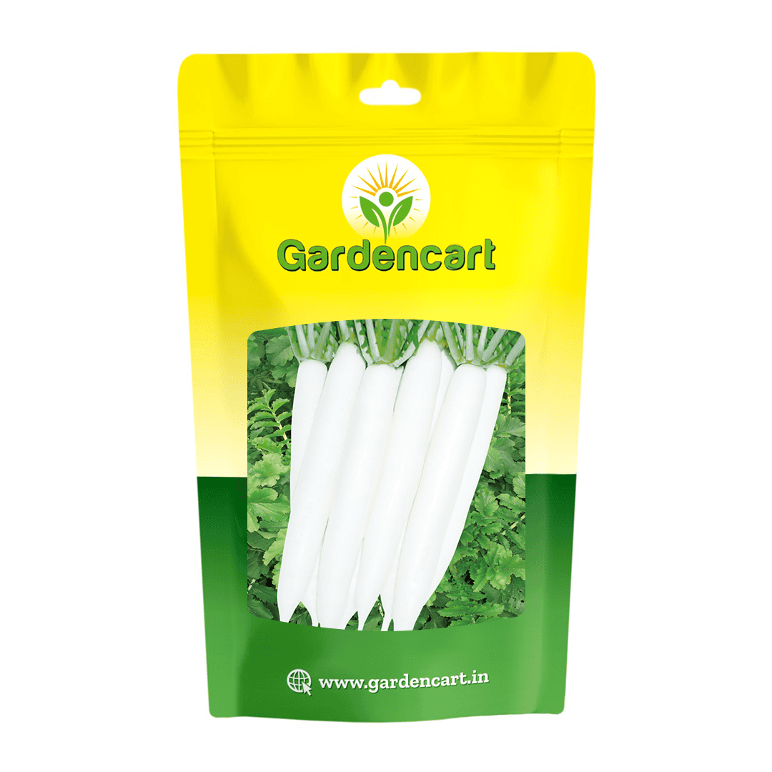 Radish Mino Early Long White Seeds