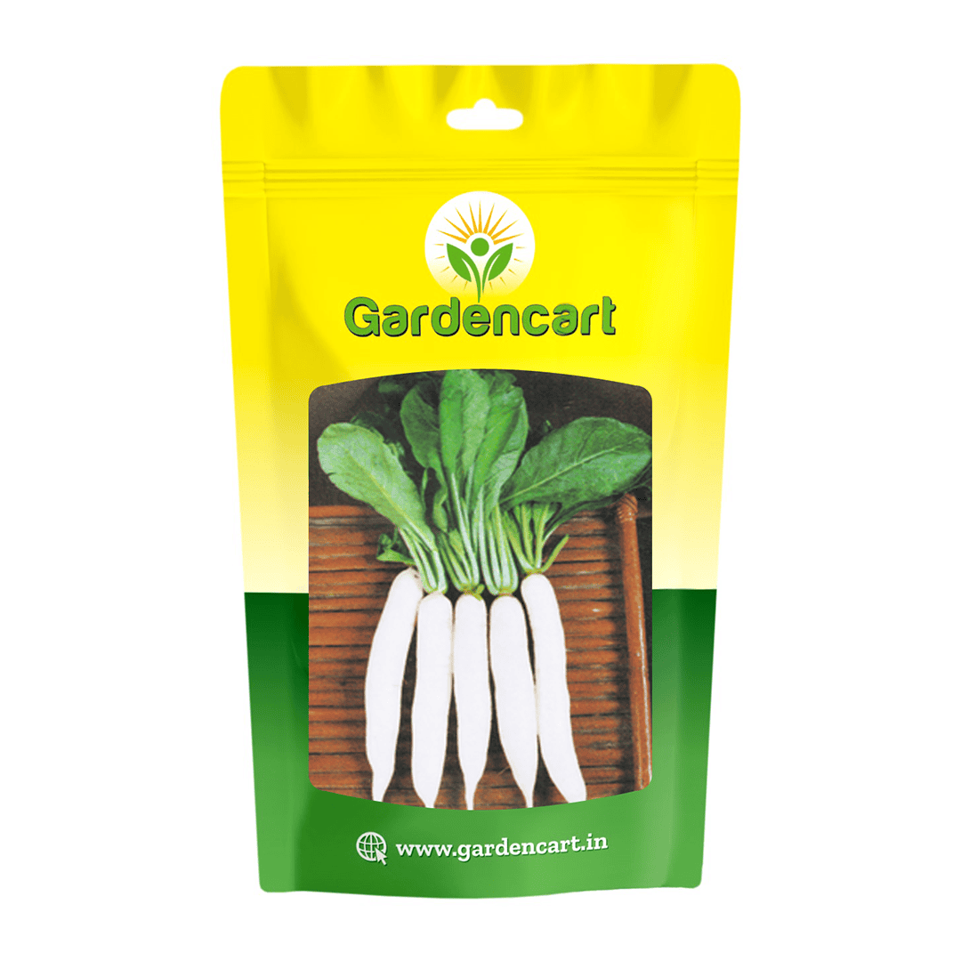 Radish Palak Patta Seeds