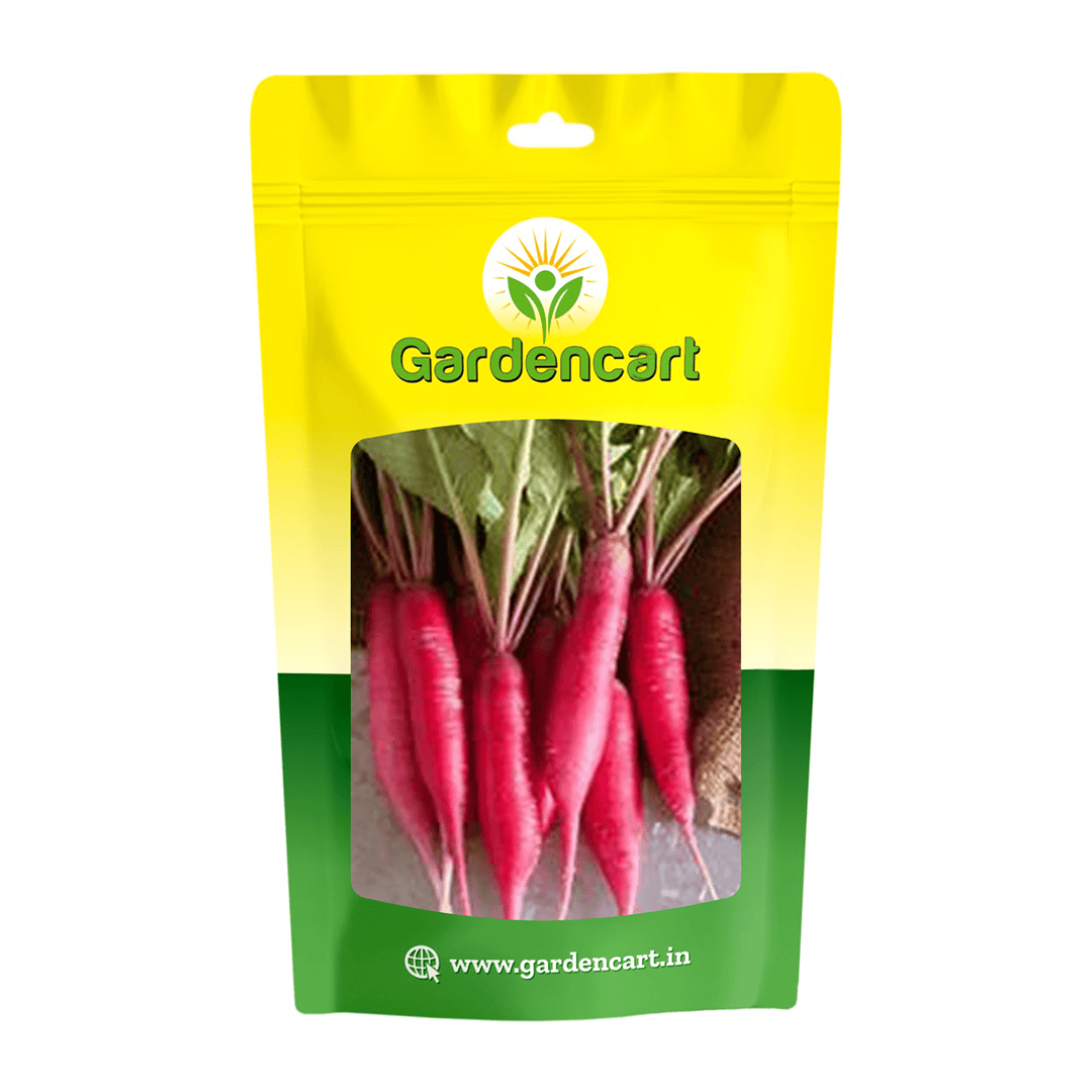 Radish Red Long Seeds