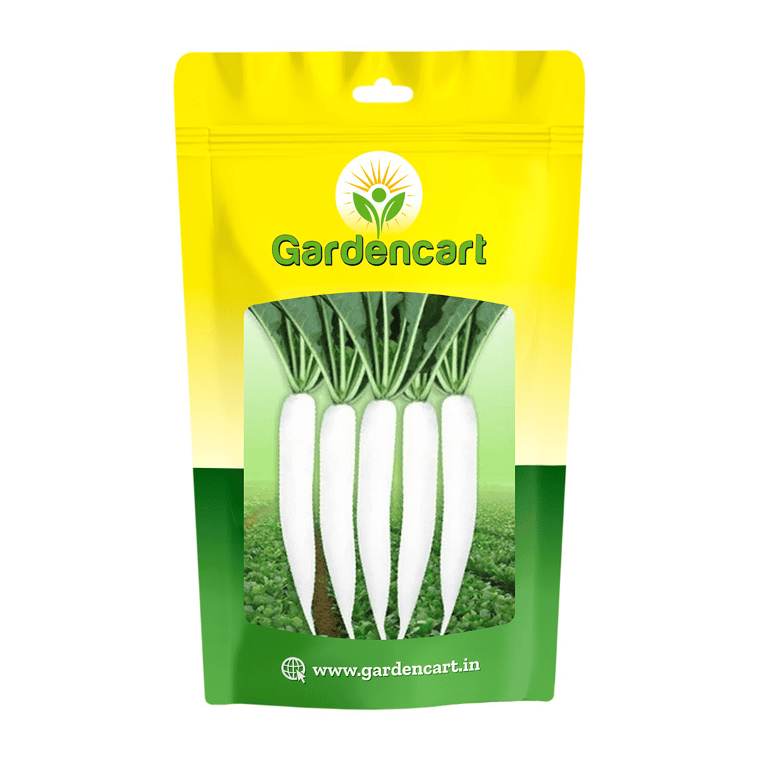 Hybrid Radish Sonal-3636 Seeds