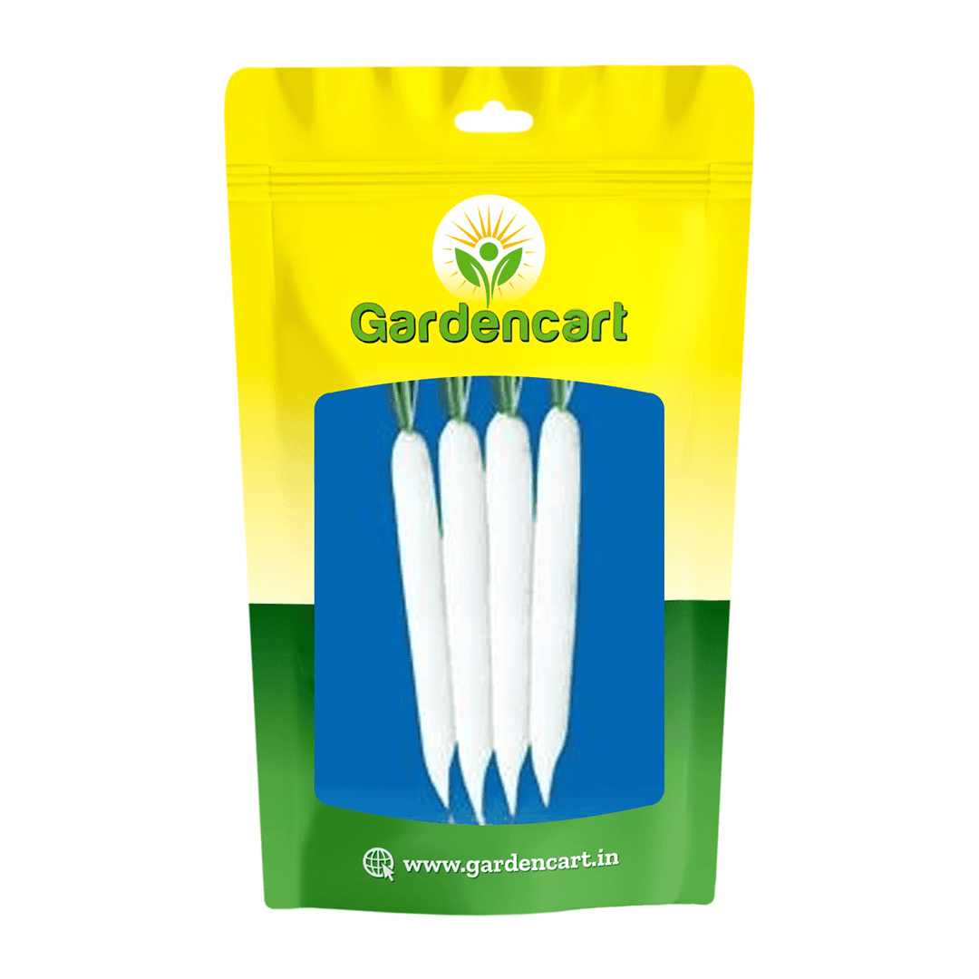 Radish Varsha Ki Rani Seeds