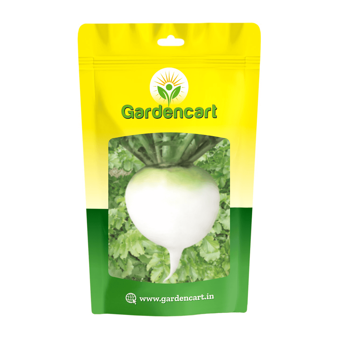 Radish White Ball Seeds