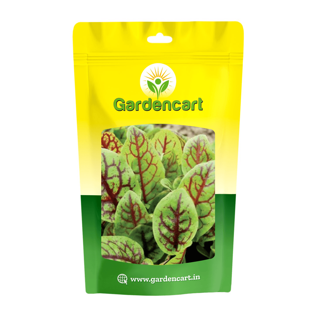 Red Veined Sorrel Seeds