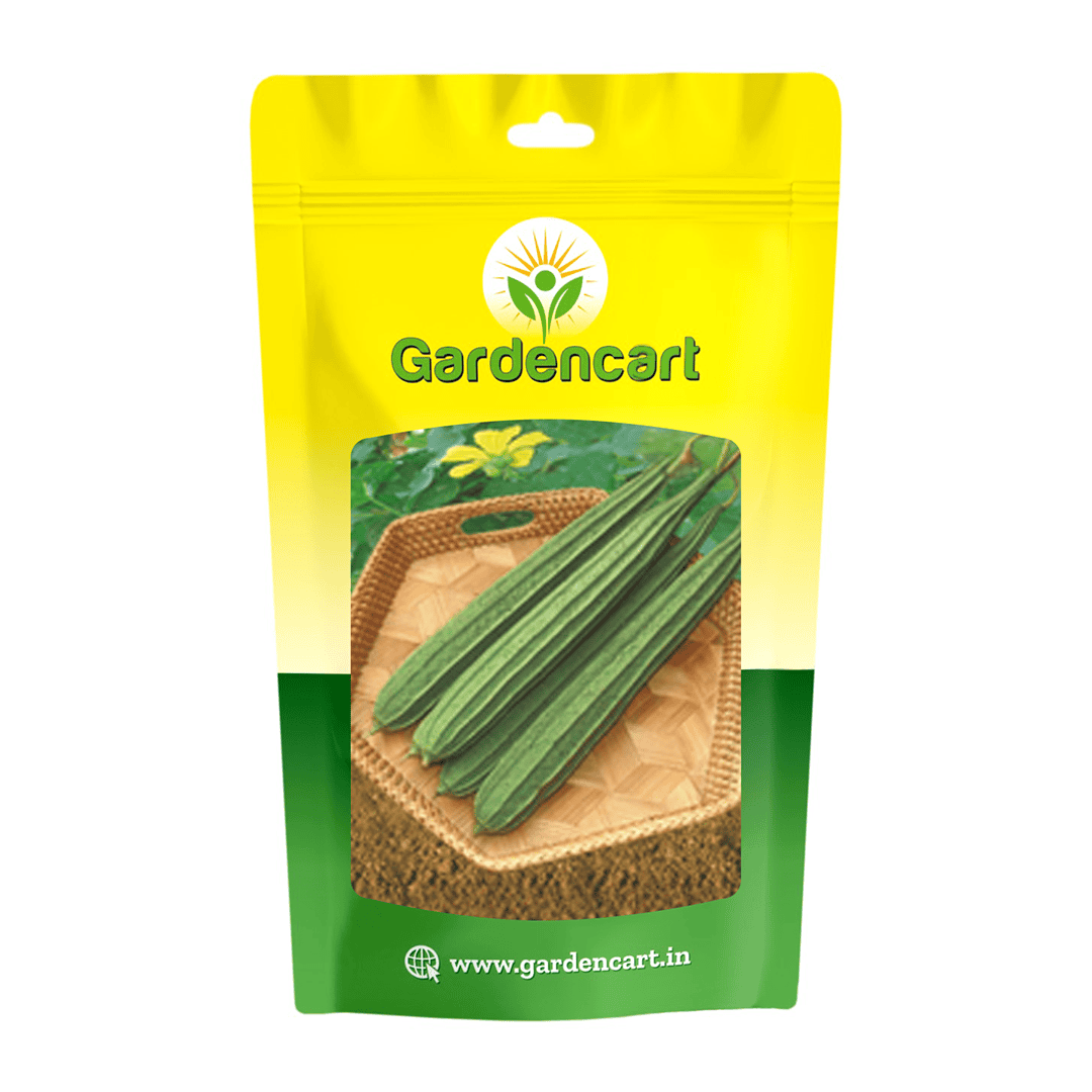 Hybrid Ridgegourd Aasha Seeds