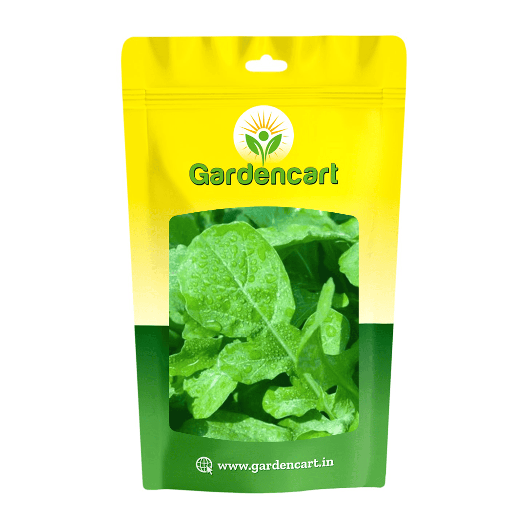 Rocket Cultivated Seeds